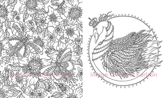 Magical Dawn Colouring Book