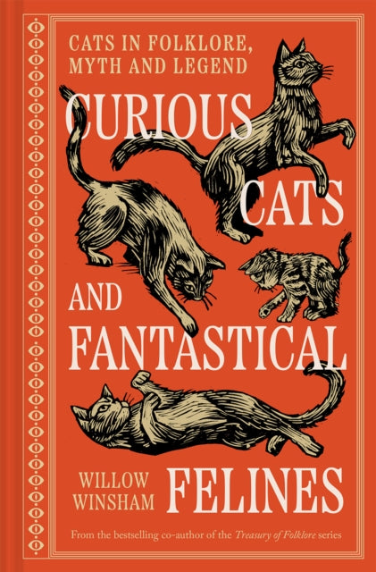 Curious Cats & Fantastical Feline