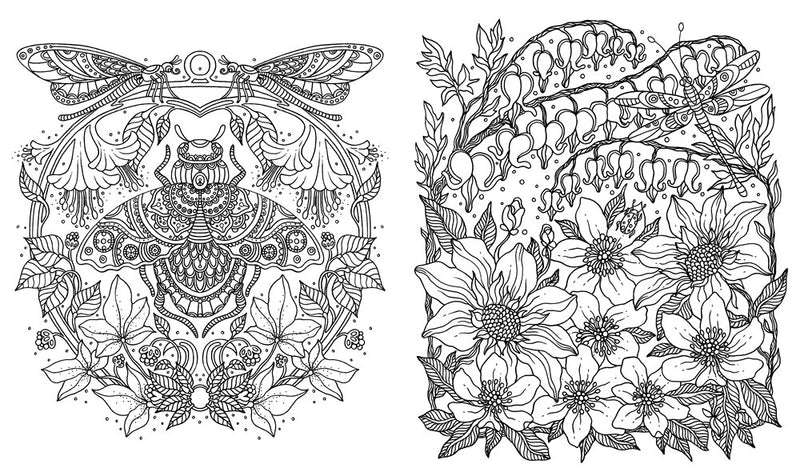 Daydreams Colouring Book