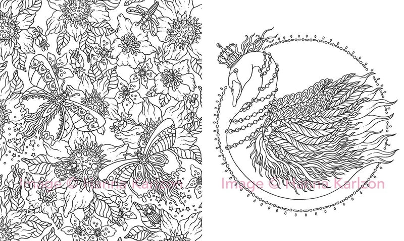 Magical Dawn Colouring Book