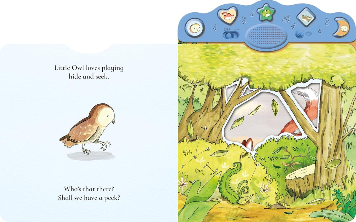 What Do You Hear, Little Owl?