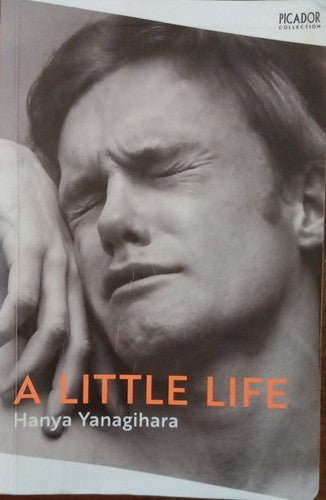 A Little Life